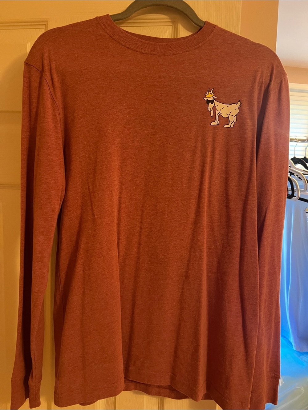 Men's Long Sleeve Graphic Tee - Rust Brown